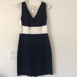Julia Jordan Navy and White Lace Back Dress
